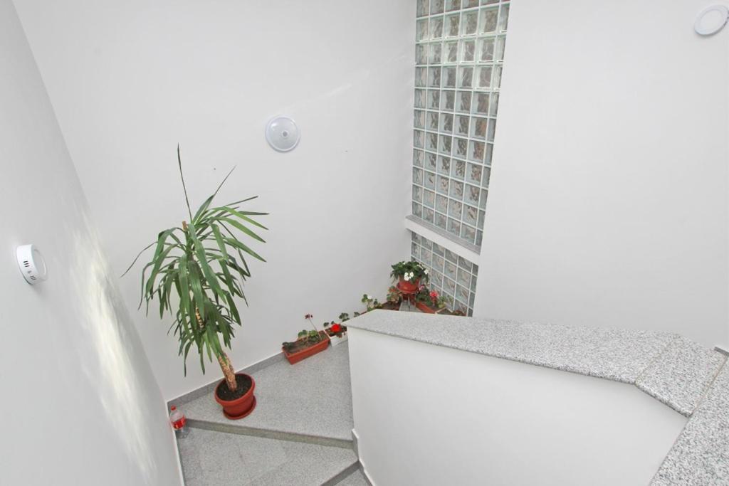 Imas Apartment Sarajevo Exteriör bild