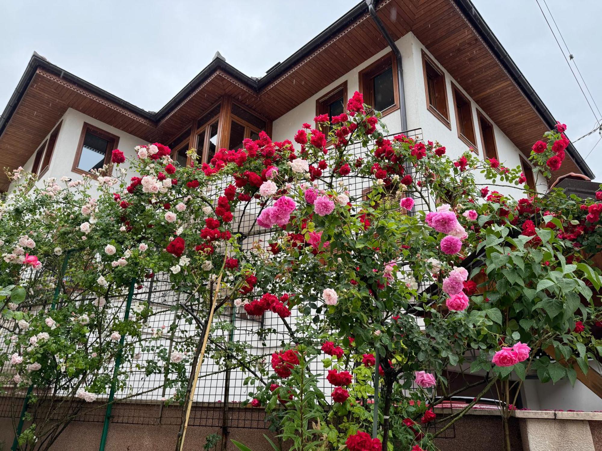 Imas Apartment Sarajevo Exteriör bild